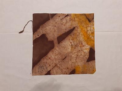 batik bau (152)